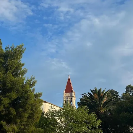 Lily * Trogir